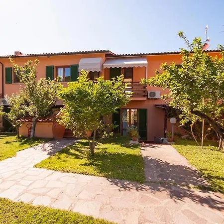 Luca Elba פרוצ'ו